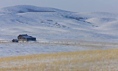 Image showing Old Homestead winter