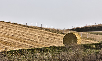 Image showing Hay Bale 