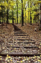 Image showing Wooden Stairs