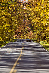 Image showing Autumn Trees