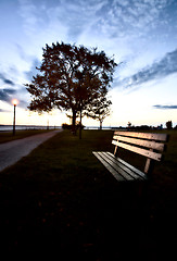 Image showing Bench and Street Light