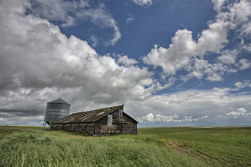 Image showing Abandoned Farm