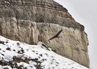 Image showing Saskatchewan Badlands