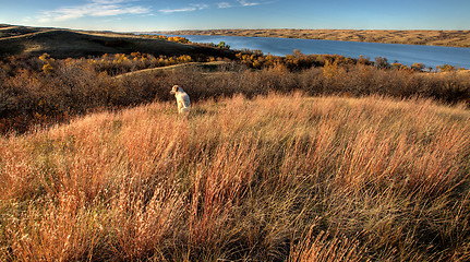 Image showing Autumn View Saskatchewan