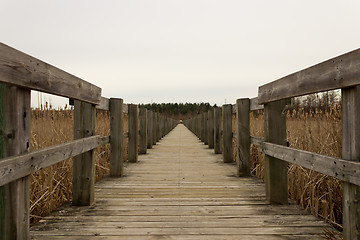 Image showing Boardwalk over a marsh
