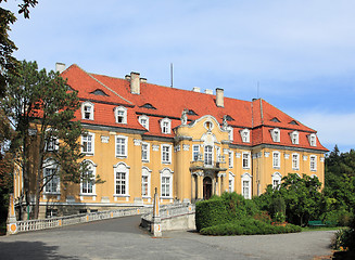 Image showing Kochcice palace in Poland