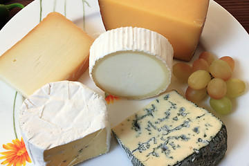 Image showing Cheese types
