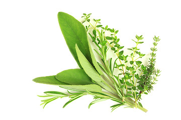 Image showing Herbs