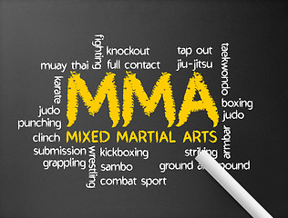 Image showing Mixed Martial Arts