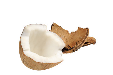 Image showing Fresh coconut and coconut shells