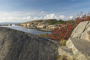 Image showing West coast autumn