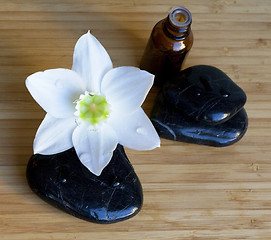 Image showing Spa black stones with white flower on wooden background