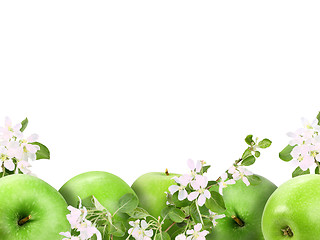 Image showing Background with green apples and flowers