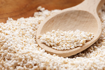 Image showing Amaranth popping, gluten-free, high protein grain cereal