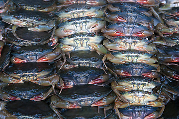 Image showing lots of crabs for sale