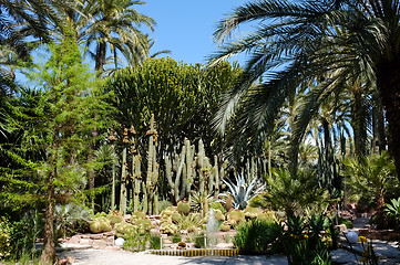 Image showing Huerto del Cura garden