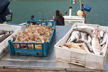 Image showing morning sea haul