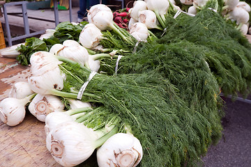 Image showing fennel