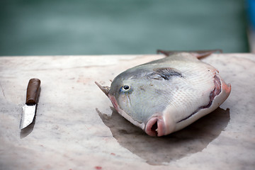 Image showing fish and a knife