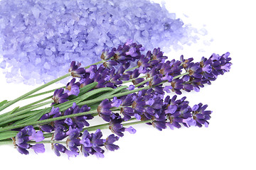 Image showing Lavender