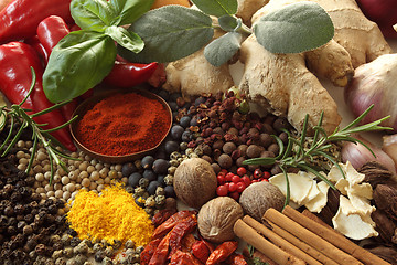 Image showing Spices and herbs