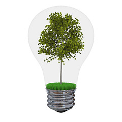 Image showing Tree inside lightbulb