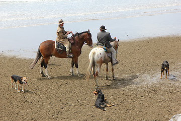 Image showing drovers and dogs