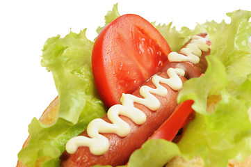 Image showing Tasty and delicious hotdog