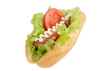 Image showing Tasty and delicious hotdog