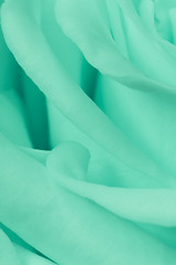 Image showing green rose close up