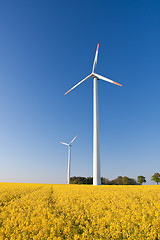 Image showing windmill  farm in the rape field