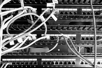 Image showing network cables