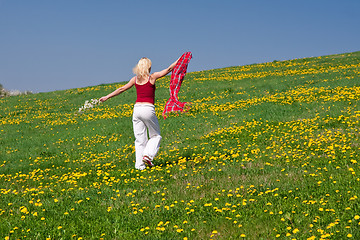 Image showing young woman with a red scarf on a meadow