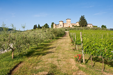 Image showing Typical Tuscan landscape