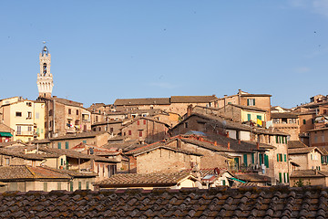 Image showing Siena historic architecture