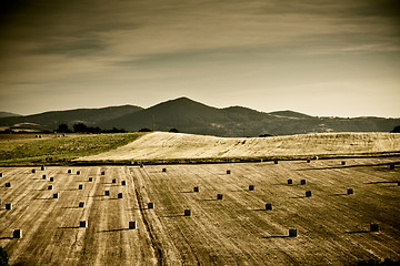 Image showing Typical Tuscan landscape