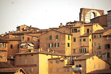 Image showing Siena historic architecture