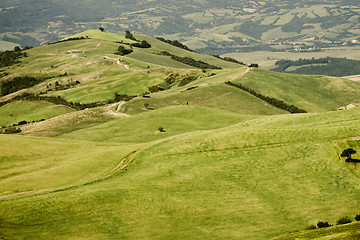 Image showing Typical Tuscan landscape