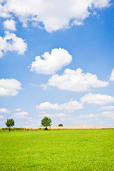 Image showing agriculture landscape