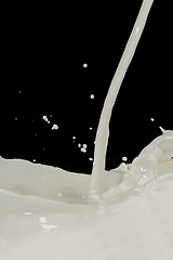 Image showing milk splash