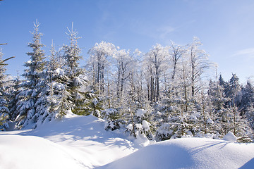 Image showing fresh snow in the mountains