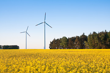 Image showing windmill  farm in the rape field