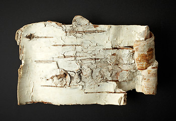 Image showing Birch Bark