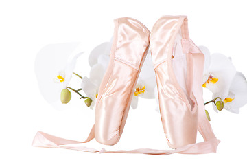 Image showing ballet pointes with orchids on isolated white