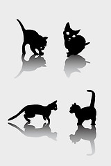 Image showing Cats silhouettes