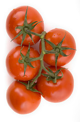 Image showing Vine Tomatoes