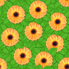 Image showing Seamless pattern of orange flowers and leaf
