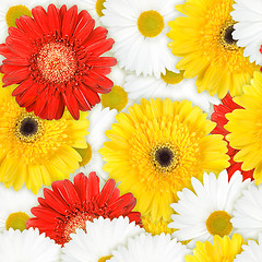 Image showing Seamless background of motley flowers