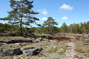 Image showing Landscape of rock and forest in Finland