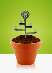 Image showing Tree key